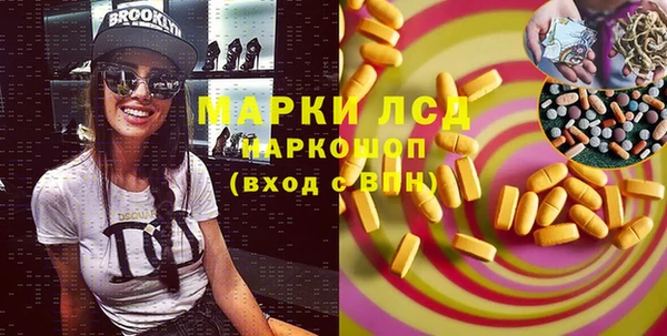 стафф Каменка
