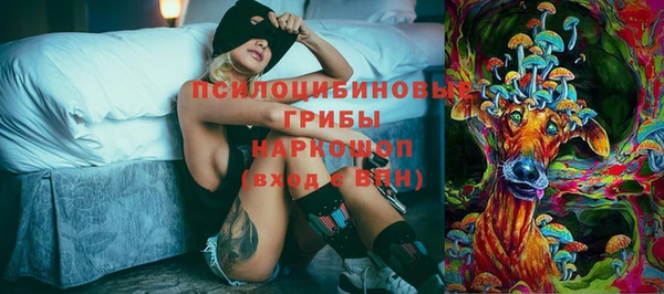спайс Каменногорск