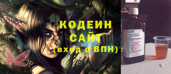 стафф Каменка