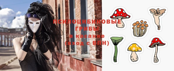 стафф Каменка