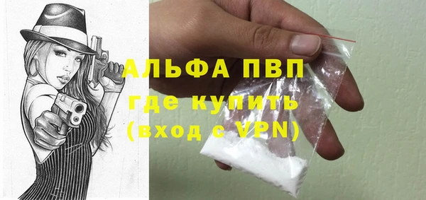 стафф Каменка