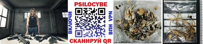 Галлюциногенные грибы Psilocybine cubensis Северодвинск