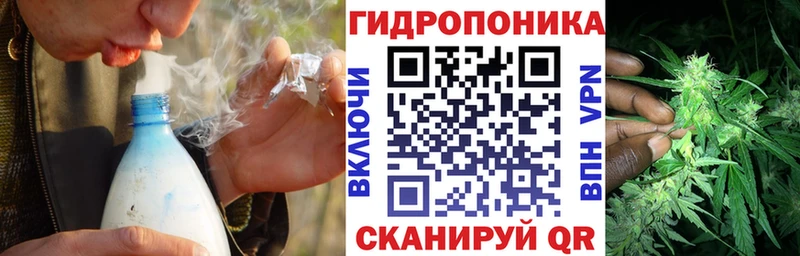 Купить где  Северодвинск  Бошки марихуана SATIVA & INDICA 